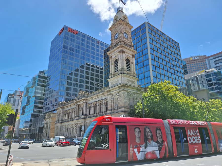 Adelaide: Guided Ultimate Walking Tour with Drink and Snack - University of Adelaide, plus Elder Park: a change of tempo