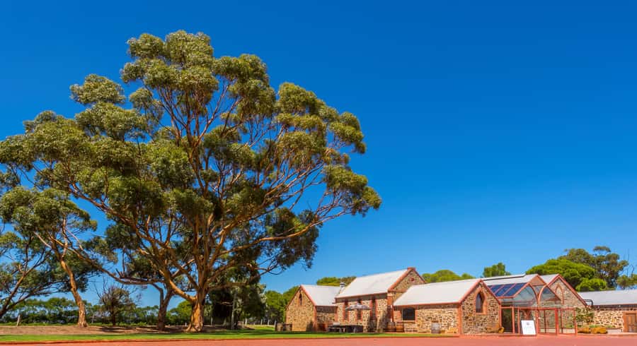 Adelaide: Half-day McLaren Vale & Glenelg Wine Tasting Tour - Meeting at Victoria Square, then heading out by 12:30