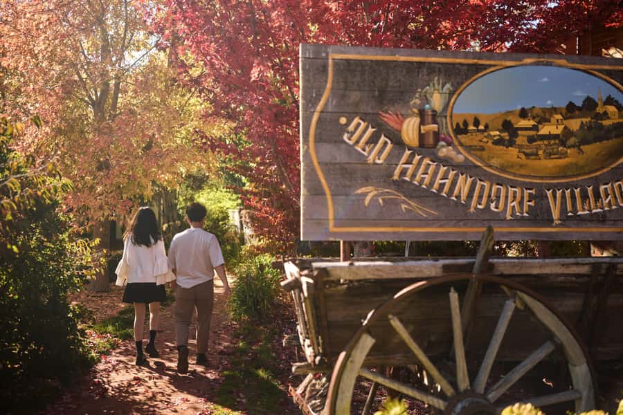 Adelaide: Highlights, Hahndorf & McLaren Vale Wine Tasting - Key things that make this tour worth your time