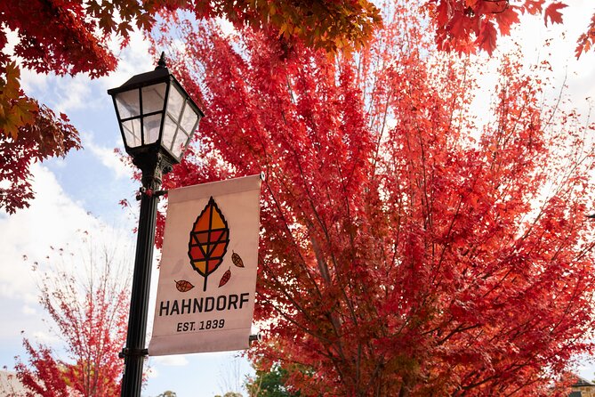 Adelaide Highlights, Hahndorf & McLaren Vale Wine Tasting and Sightseeing Tour - Hahndorf village: the German township stop that takes you off-rails