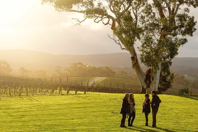 Adelaide Hills & Hahndorf Hop-On Hop-Off Wine Tour - Key takeaways before you go