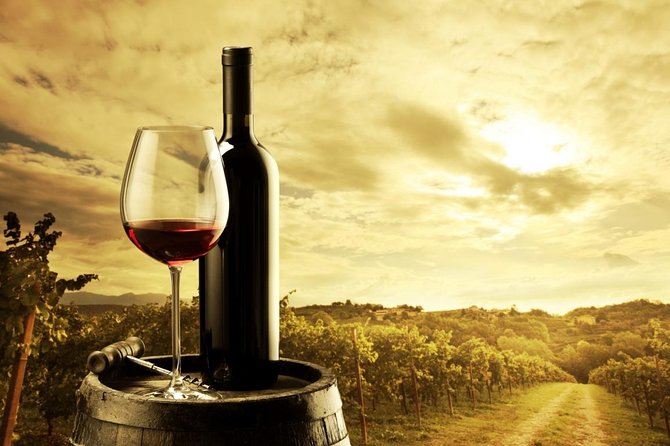 Adelaide Hills & Hahndorf Hop-On Hop-Off Wine Tour - Comfort and service: the bus guide can make or break the day