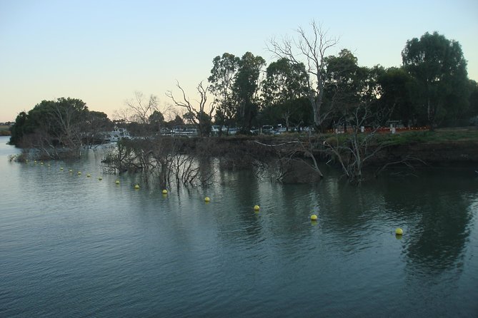 Adelaide Hills Tour with River Murray Lunch Cruise - The Captain Proud Paddle Wheeler: Your 3-Hour Lunch Cruise