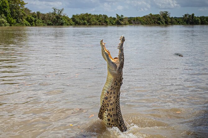 Adelaide River Cruises - Jumping Crocodile Experience - Quick Takeaways