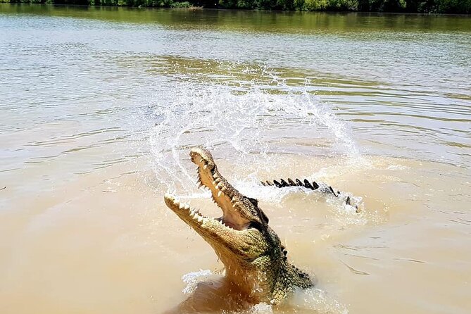 Adelaide River Cruises - Jumping Crocodile Experience - Timing, Weather, and When to Book