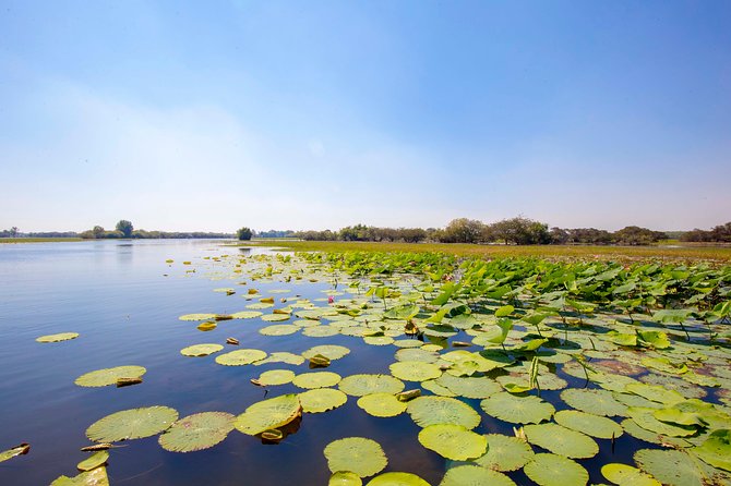 Adelaide River Jumping Croc Cruise - Price and Value for a 4-Hour Croc Adventure