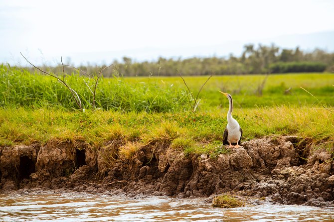 Adelaide River Jumping Croc Cruise - What to Bring for Crocs, Wind, and Wetland Stops