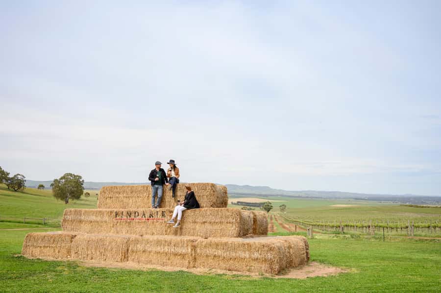 Adelaide: Small Group Tour of Barossa, Wineries with Lunch - Tanunda main street time, plus Mengler Hill views for your photos