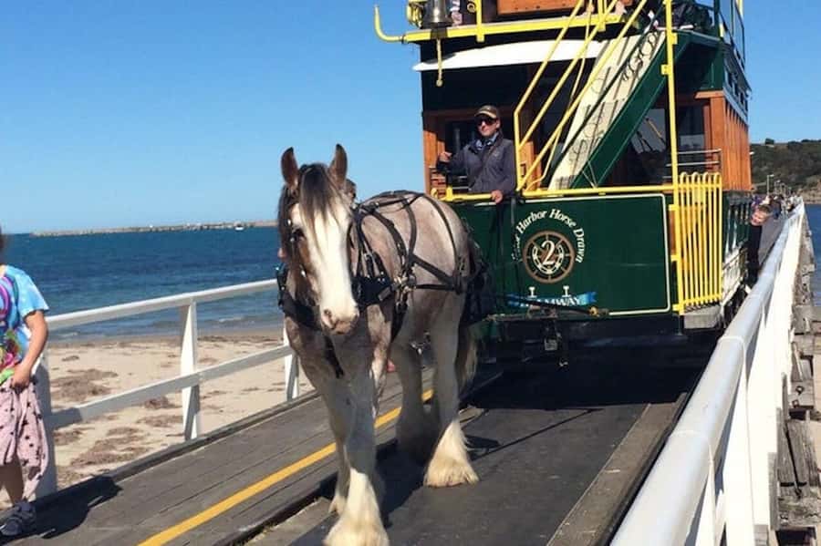 Adelaide: South Australia Guided Full-Day Highlights Tour - A smart 8-hour route for Adelaide Hills, Hahndorf, and the South Coast