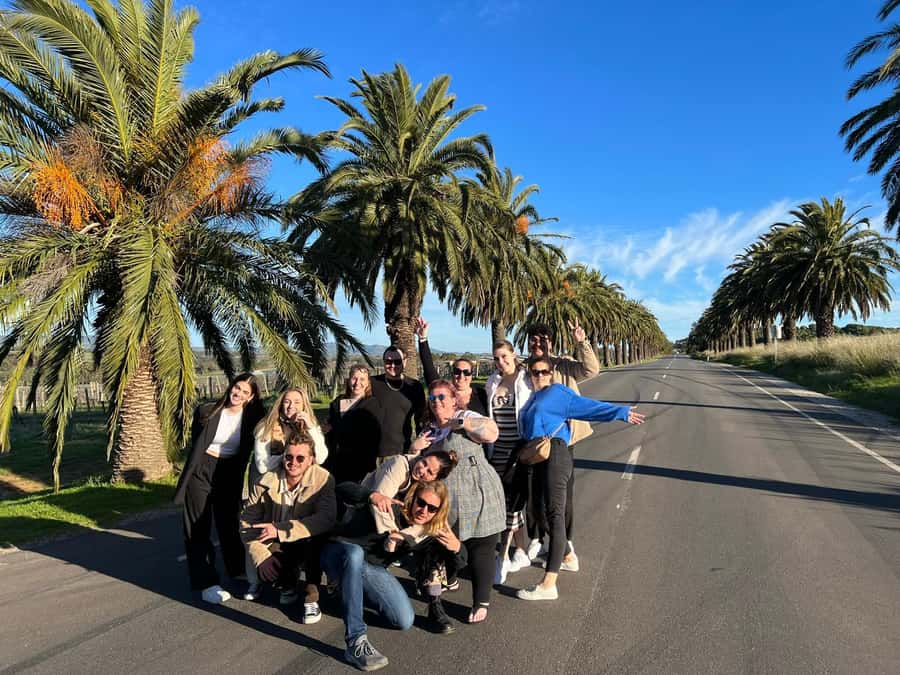 Adelaide: South Australia Guided Full-Day Highlights Tour - Where you start matters: pickups and drop-offs that keep you comfortable