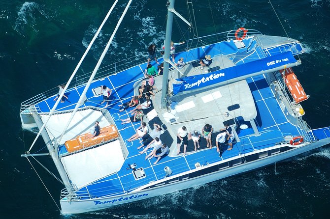 Adelaide Twilight Cruise from Glenelg - Price and Value: Why This $40.88 Ticket Feels Fair