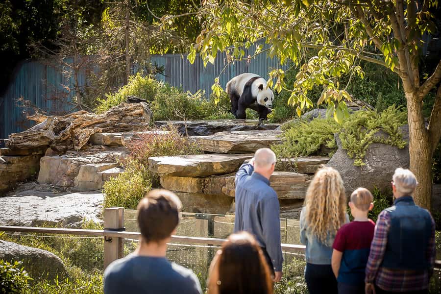 Adelaide Zoo: General Admission Tickets - Key things to know before you go