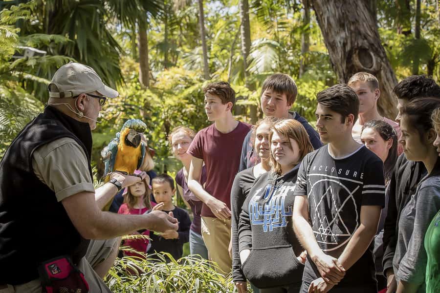 Adelaide Zoo: General Admission Tickets - Entering at Plane Tree Drive and getting your bearings fast