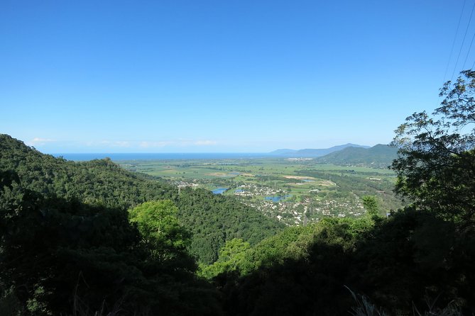 Adventure on a Budget Visit Kuranda or Palm Cove from Pt Douglas - Who Should Book This Kuranda and Palm Cove Tour?