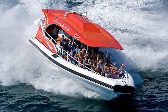 Adventure Rottnest Tour with Ferry & Adventure Cruise - Who should book this tour, and who should skip it