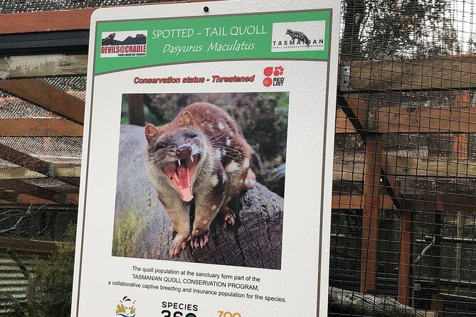 After Dark Tasmanian Devil Feeding Tour at Cradle Mountain - Price and logistics: what your $30.48 gets you