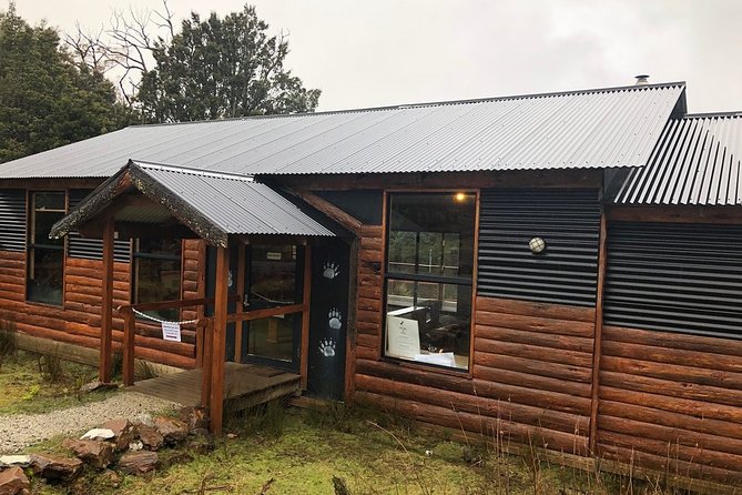 After Dark Tasmanian Devil Feeding Tour at Cradle Mountain - Who this tour suits best, and who may want a backup plan