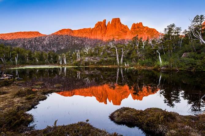 After Dark Tasmanian Devil Feeding Tour at Cradle Mountain - Should you book After Dark Tasmanian Devil Feeding at Cradle Mountain?