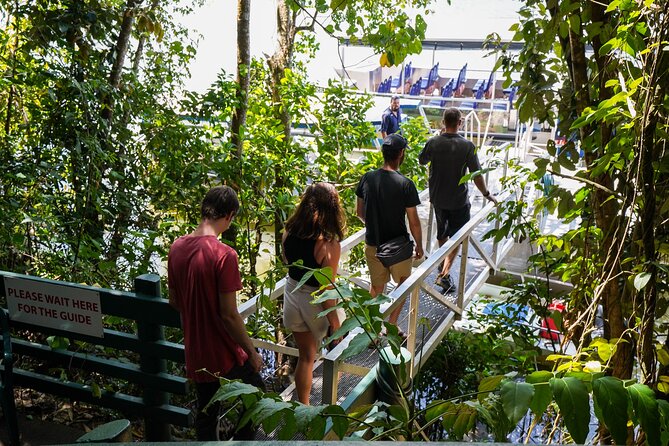 Afternoon Daintree Tour with River Cruise from Port Douglas - A smooth half-day from Port Douglas starts at 12:50