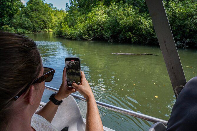 Afternoon Daintree Tour with River Cruise from Port Douglas - Price and value: $104.72 feels fair for what’s included