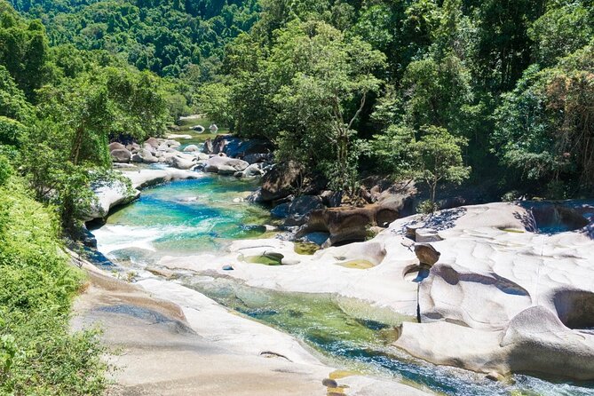 Afternoon & Evening Tour of Paronella Park - Key Highlights You’ll Care About