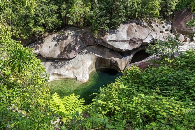 Afternoon & Evening Tour of Paronella Park - Why This Paronella Park Tour Works So Well