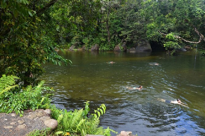 Afternoon & Evening Tour of Paronella Park - Etty Bay for Cassowaries: Wildlife Viewing Without the Chaos