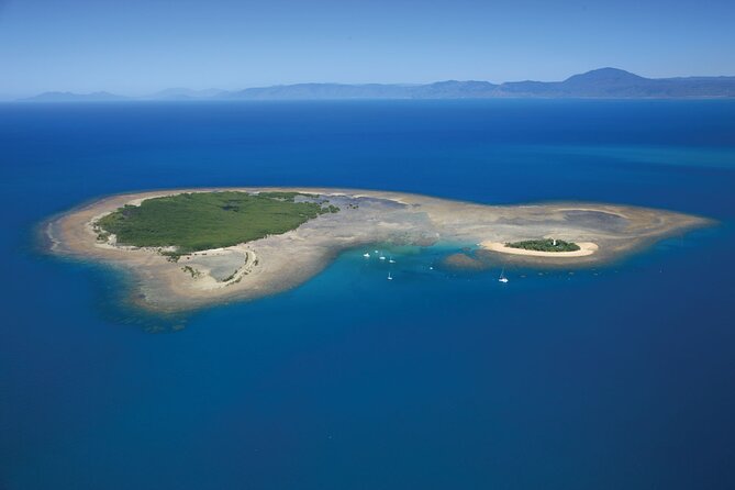 Afternoon Low Isles Snorkelling & Sunset Sail from Port Douglas - The sunset return: why timing is part of the value