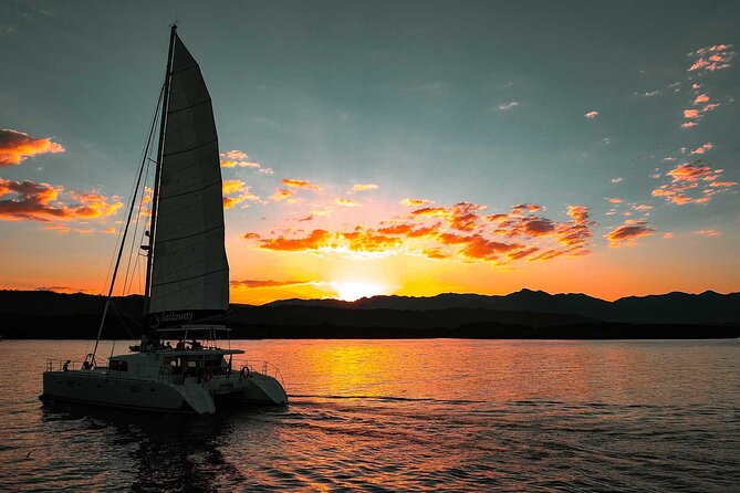 Afternoon Low Isles Snorkelling & Sunset Sail from Port Douglas - Price and value: is $243.86 per person worth it?