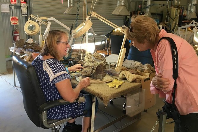Age of Dinosaurs Museum Half Day Tour with Red Dirt Tours - Fossil Laboratory: The Hands-On Part That Makes It Feel Real