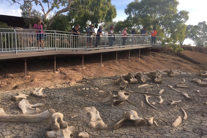 Age of Dinosaurs Museum Half Day Tour with Red Dirt Tours - Who This Tour Fits Best (and Who Might Want More Time)