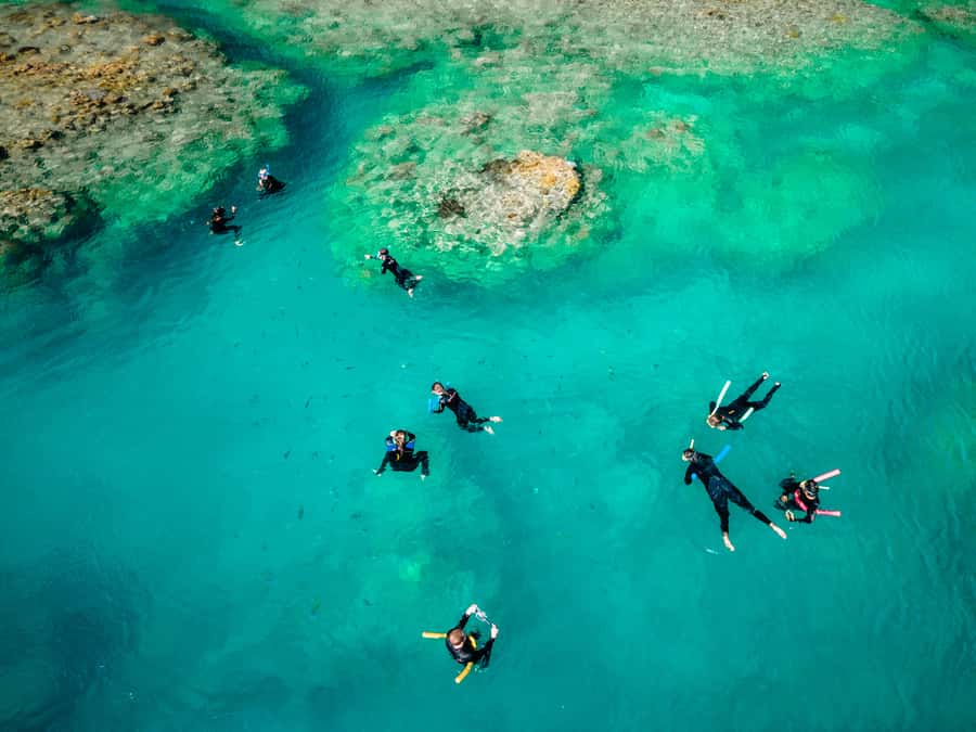 Airlie Beach: 2-Day Whitsunday Islands Sailing Snorkel Tour - Key things I’d circle before you book