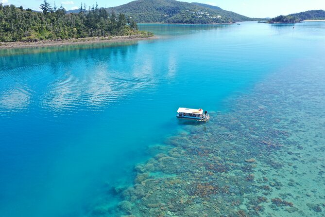Airlie Beach Glass Bottom Boat Tour - Key things I’d plan around