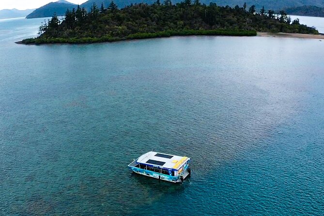 Airlie Beach Glass Bottom Boat Tour - Onboard Comfort: Shaded Seating, Safety Gear, and a Real Reef Lesson