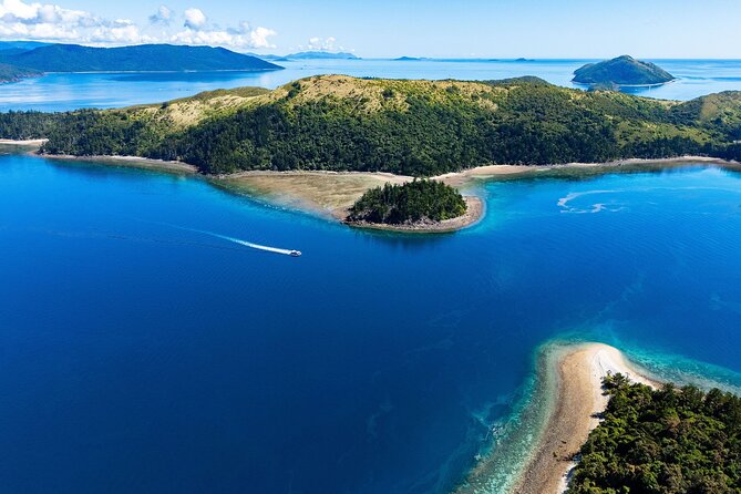 Airlie Beach Glass Bottom Boat Tour - When Water Clarity Changes Everything (And Why That Is Not a Dealbreaker)