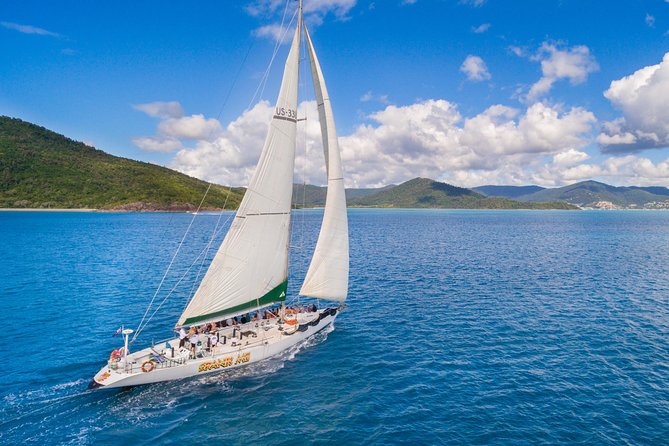 Airlie Beach Glass Bottom Boat Tour - Price and Value: Is $63.83 Worth It?