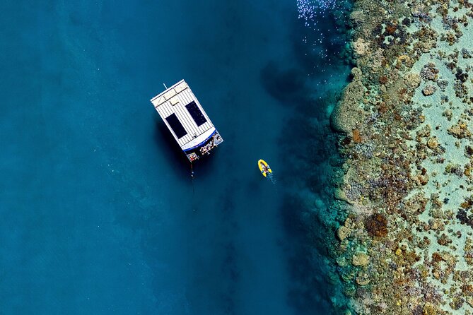 Airlie Beach Glass Bottom Boat Tour - Family-Friendly Reality: Great for Kids and Grandparents