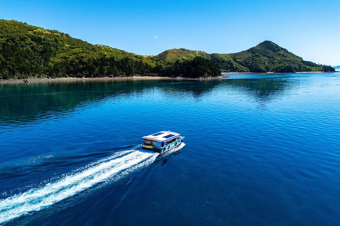 Airlie Beach Glass Bottom Boat Tour - Should You Bring the Whole Crew, or Just Your Reef Nerd Side?
