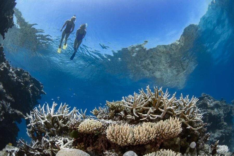 Airlie Beach: Great Barrier Reef & Whitehaven Beach Tour - Who should book this, and who should skip it