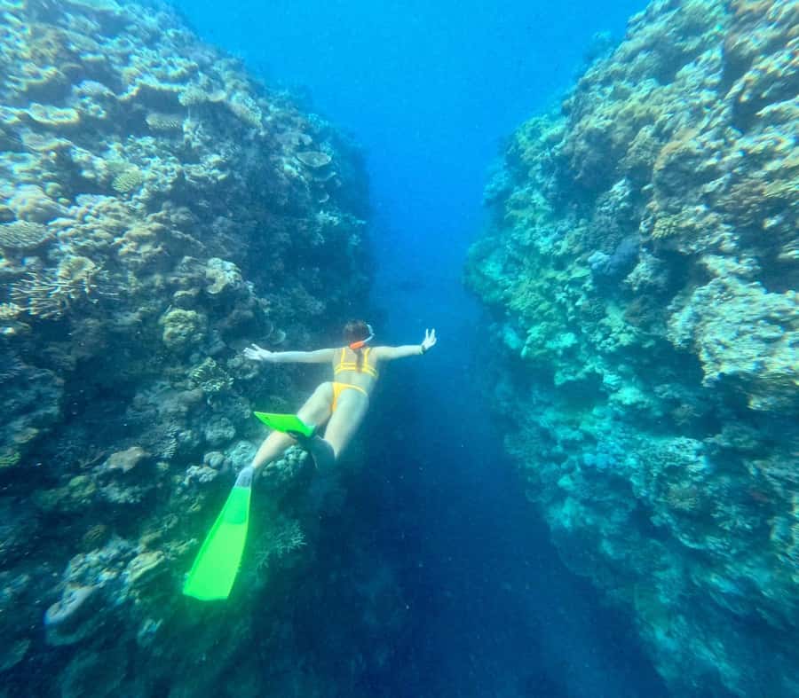 Airlie Beach: Great Barrier Reef & Whitehaven Beach Tour - Food, snacks, and the crew style that keeps the day smooth