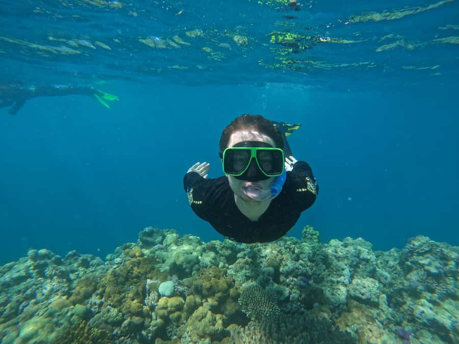 Airlie Beach: Great Barrier Reef & Whitehaven Beach Tour - Price, duration, and why $225 feels fair for this exact package