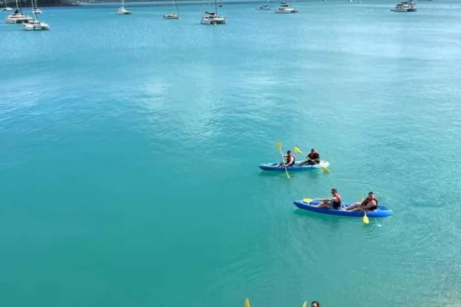 Airlie Beach: Half Day Turtle Tour Sea Kayaking Adventure - Sea Kayaking and Turtle Spotting Off Airlie Beach