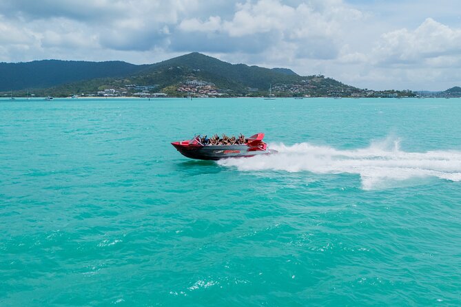 Airlie Beach Jet Boat Thrill Ride - Wildlife on the Bay: Possible, Not Promised