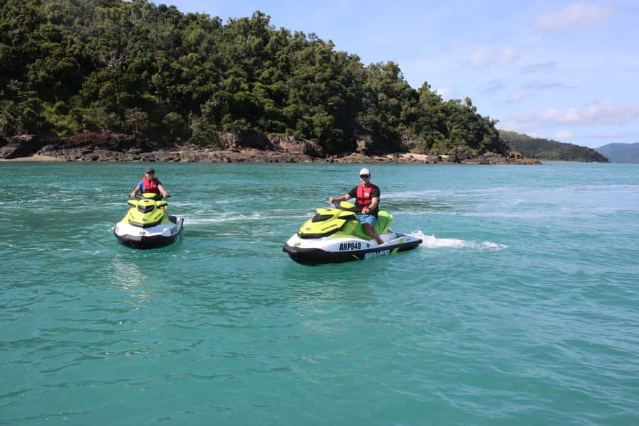 Airlie Beach: Jet Ski Safari Hour of Power and Marine Life - Wildlife spotting in Whitsundays bays: what to expect, and how to react