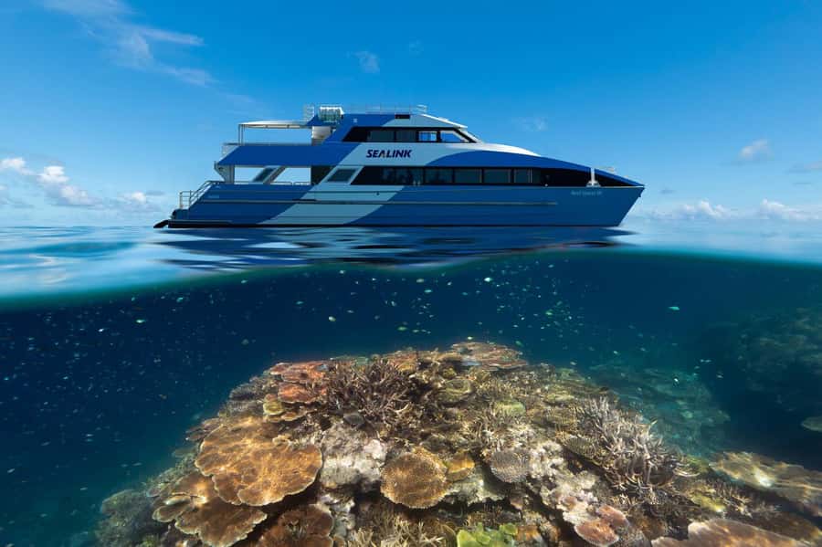 Airlie Beach: Outer Great Barrier Reef Snorkeling Day Trip - Key Highlights You Should Care About