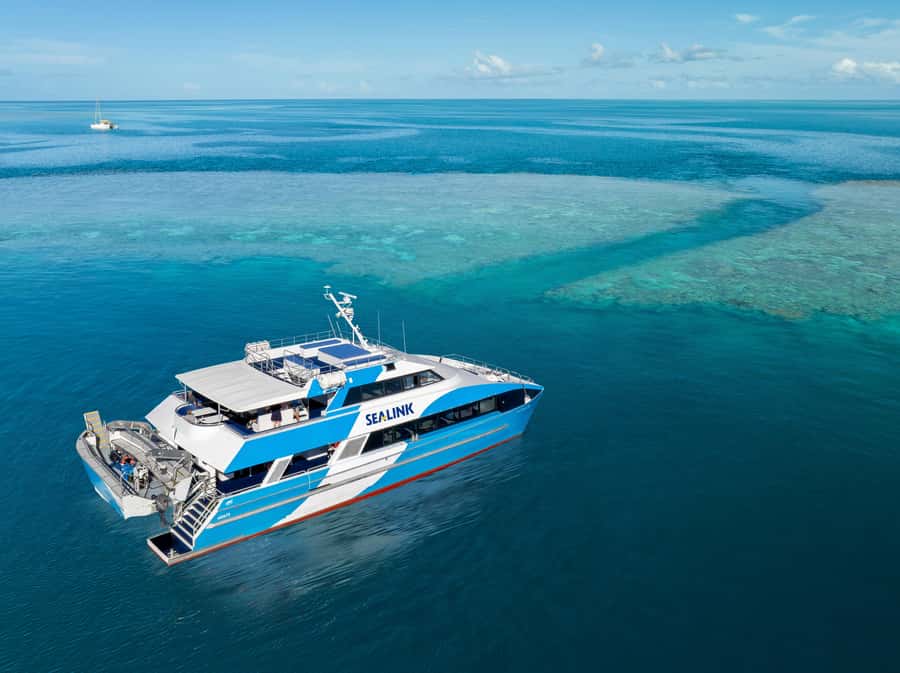 Airlie Beach: Outer Great Barrier Reef Snorkeling Day Trip - Wildlife Hunt Beyond the Corals, Including Humpback Season