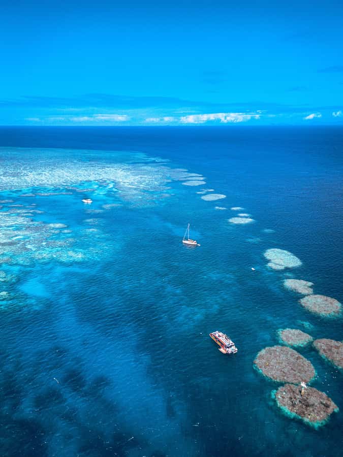 Airlie Beach: Outer Great Barrier Reef Snorkeling Day Trip - Lunch and Snacks on Board: Why This Trip Feels Worth the Price