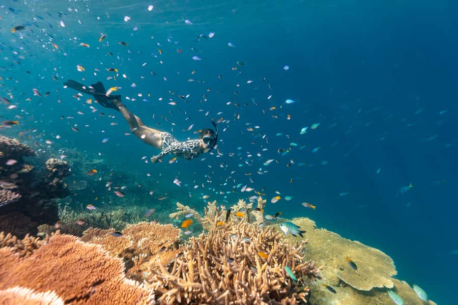 Airlie Beach: Outer Great Barrier Reef Snorkeling Day Trip - Pickup Points and How the Morning Really Feels