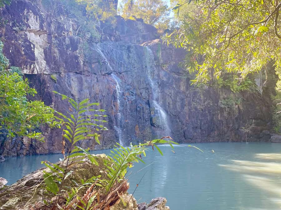 Airlie Beach: Roundtrip Tour to Cedar Creek. - The best part of 3 hours: photos, climbing optional, and real time to swim
