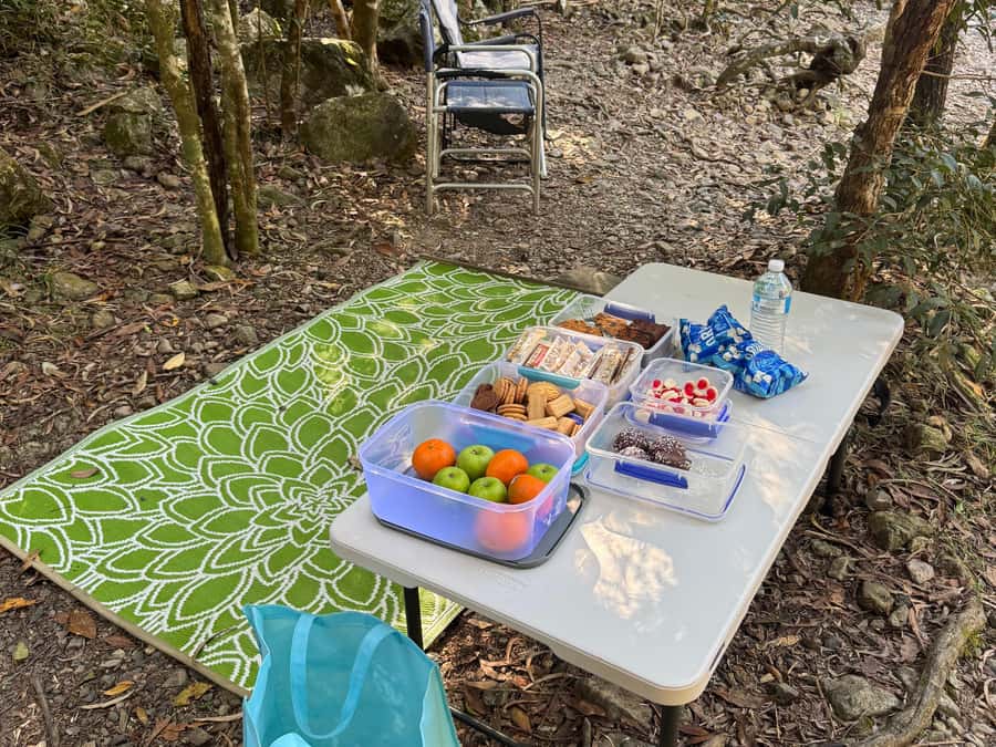 Airlie Beach: Roundtrip Tour to Cedar Creek. - Tea stop details: what you get and why it feels worth it